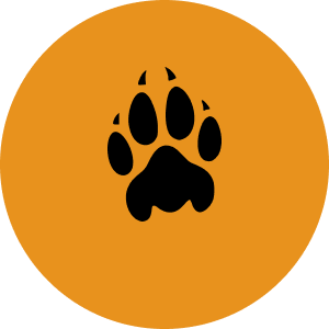 Round Logo